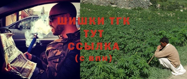 Альфа ПВП Елизово