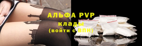 Альфа ПВП Елизово