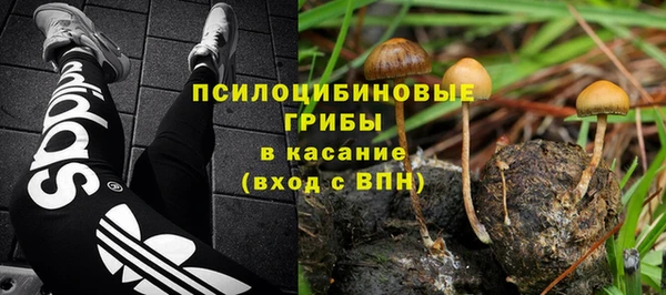 гидропоника Долгопрудный