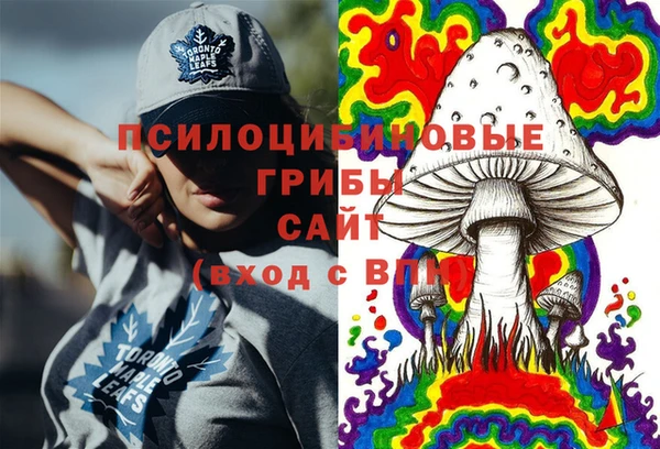 герыч Ельня