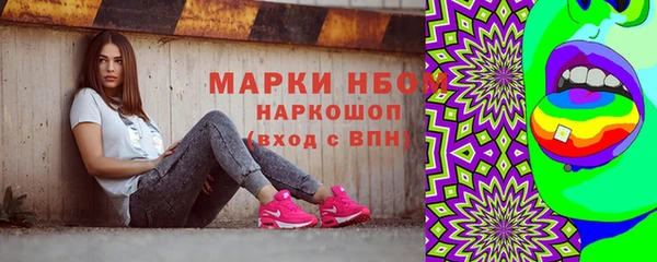 Альфа ПВП Елизово
