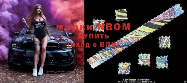 Альфа ПВП Елизово