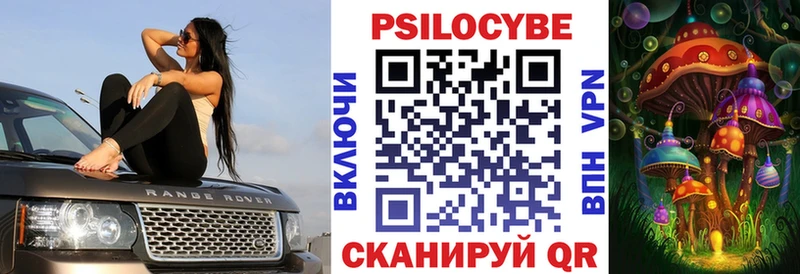 Псилоцибиновые грибы мухоморы  цены наркотик  Ефремов 