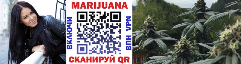 закладка  Ефремов  OMG как войти  Каннабис сатива 